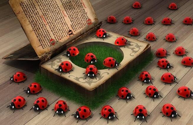 Ladybug - un símbolo de axuda divina, protección