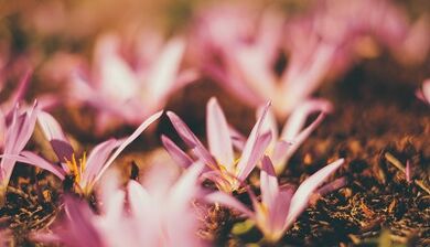 como facer un amuleto da sorte coas túas propias mans